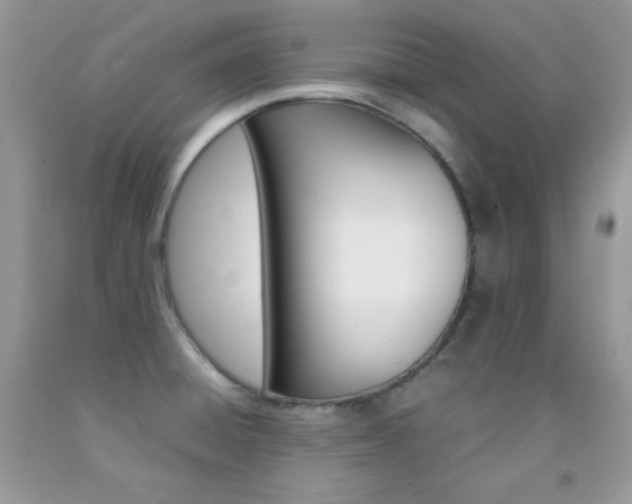 X0000092251428200709140956