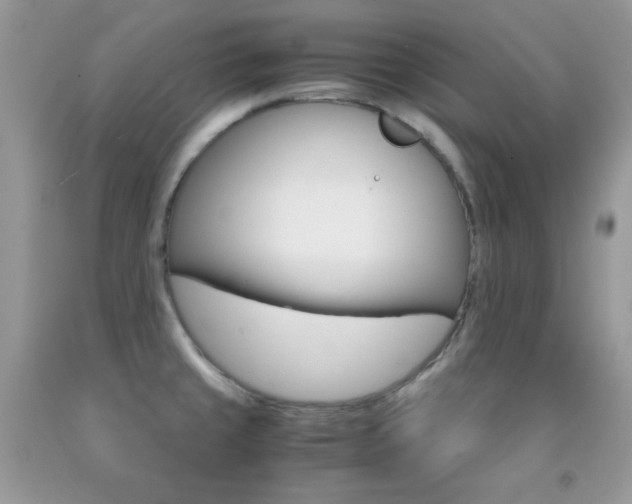 X0000092251429200709140956