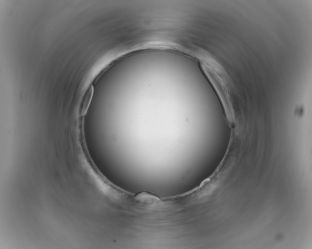 X0000092251430200709140956