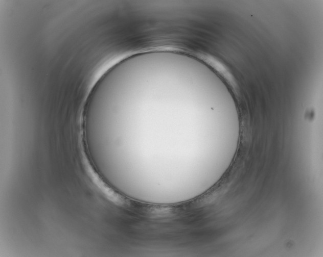 X0000092251431200709140956