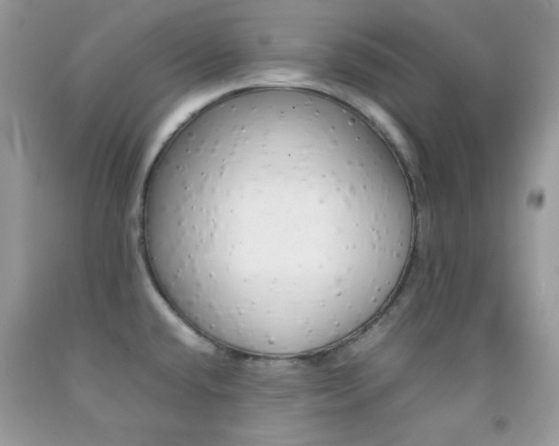 X0000092251432200709140956