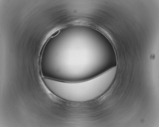 X0000092251434200709140956