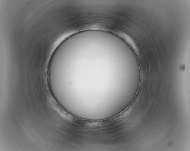 X0000092251435200709140956