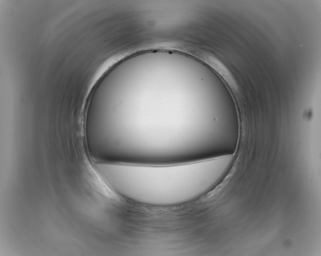 X0000092251436200709140956