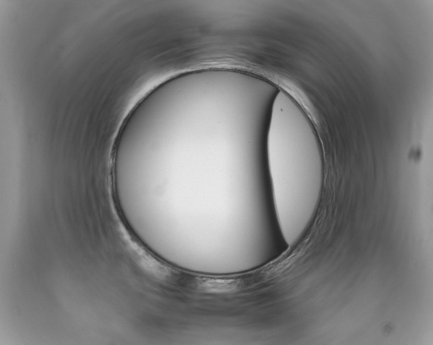 X0000092251439200709140956
