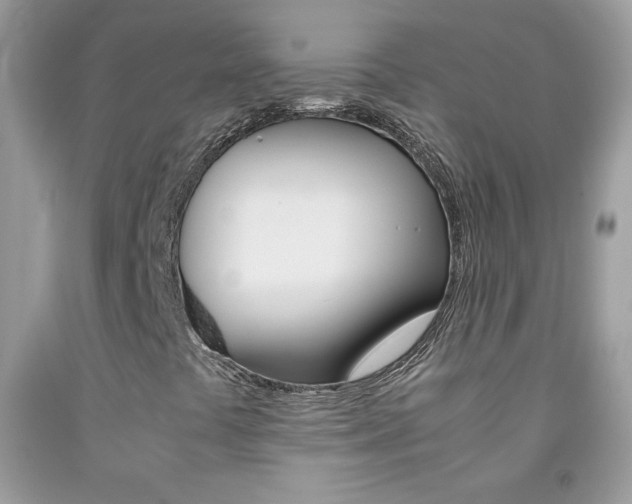 X0000092251441200709140956