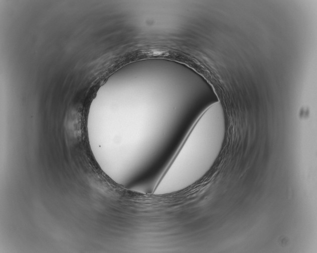 X0000092251442200709140955