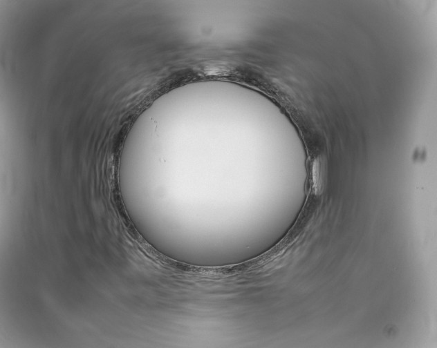 X0000092251443200709140955