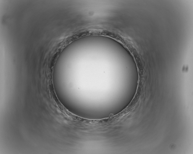 X0000092251445200709140955