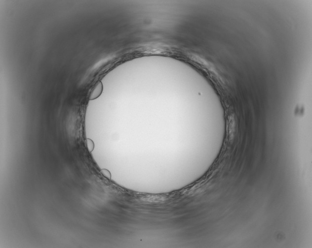 X0000092251446200709140955