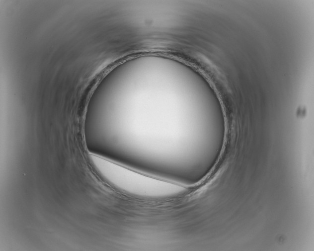 X0000092251449200709140955