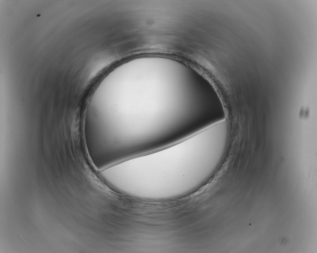 X0000092251450200709140955