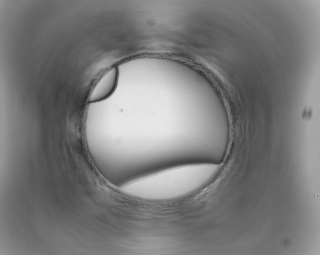 X0000092251451200709140955