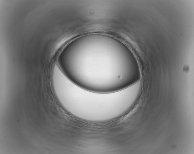 X0000092251453200709140955