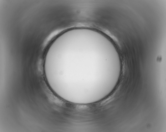 X0000092251454200709140955