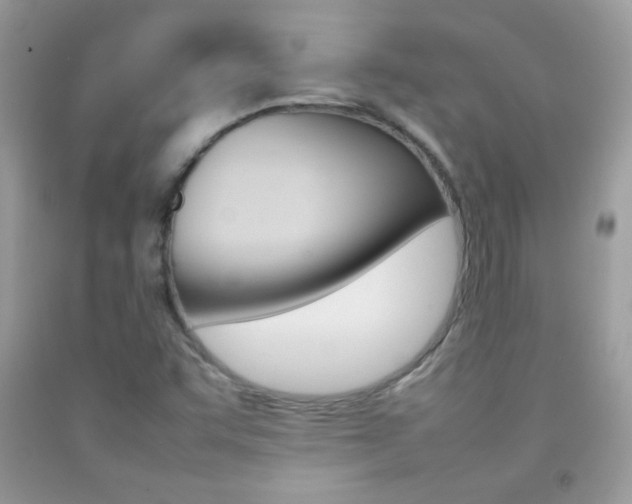 X0000092251455200709140955