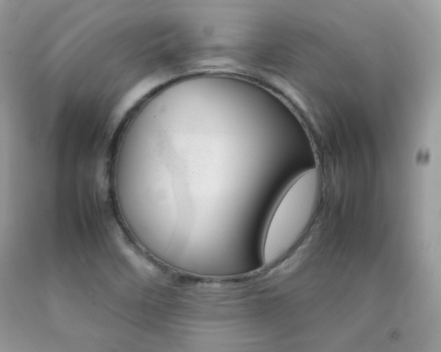 X0000092251458200709140955