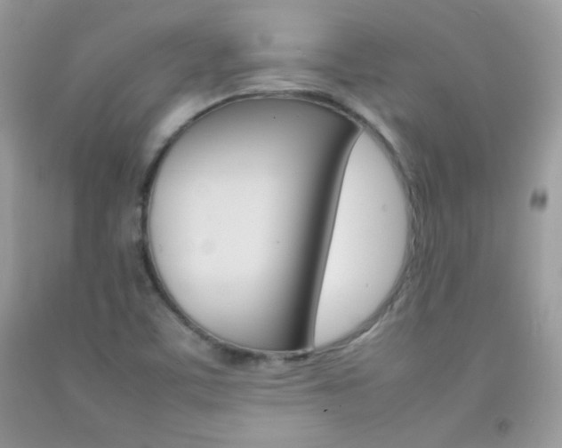 X0000092251459200709140955