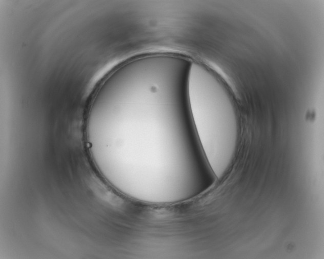 X0000092251460200709140955