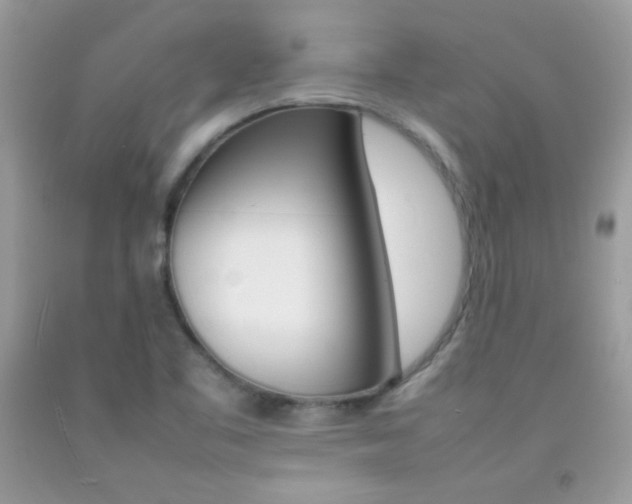 X0000092251461200709140955