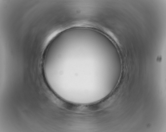 X0000092251463200709140955
