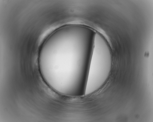 X0000092251464200709140955