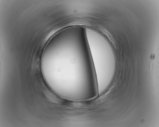 X0000092251465200709140955