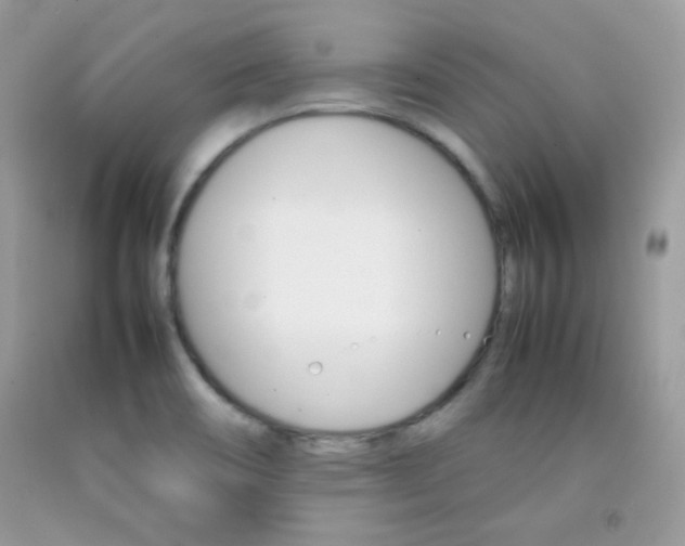 X0000092251466200709140955