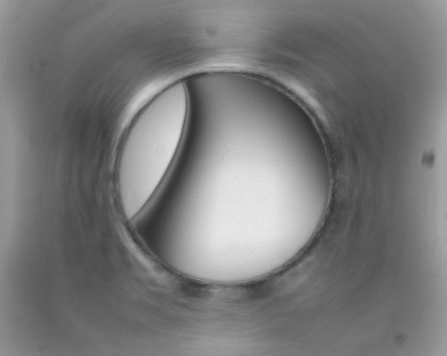 X0000092251469200709140955