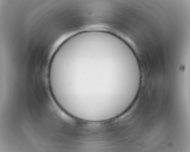 X0000092251470200709140955