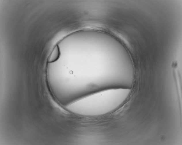 X0000092251471200709140955