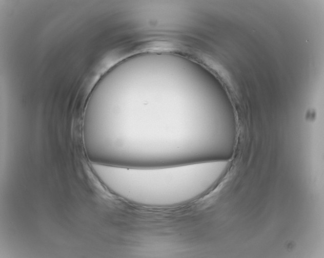 X0000092251473200709140955