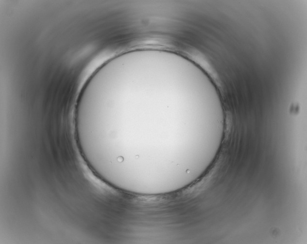 X0000092251474200709140955