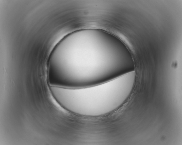 X0000092251476200709140955