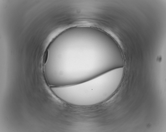 X0000092251477200709140955