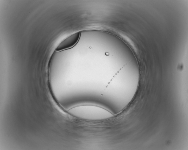 X0000092251479200709140955