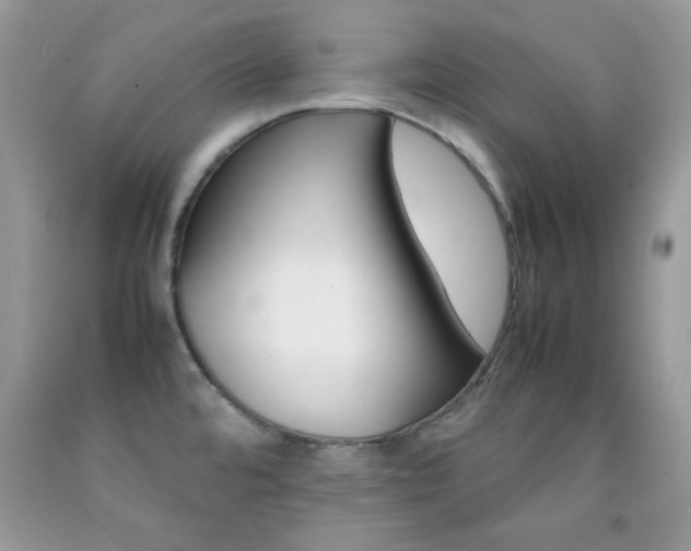 X0000092251480200709140955