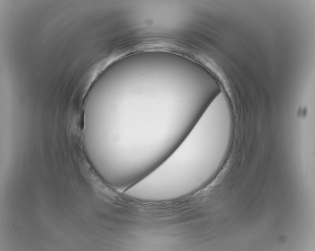 X0000092251481200709140955