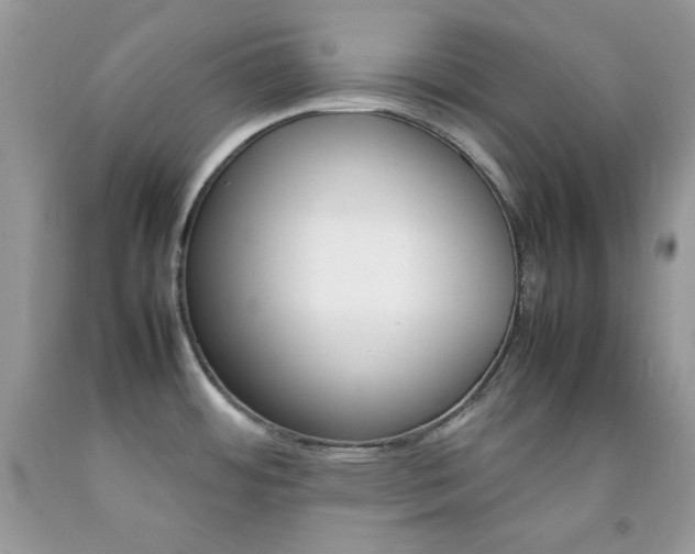 X0000092251484200709140955