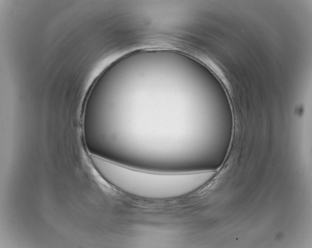 X0000092251485200709140955
