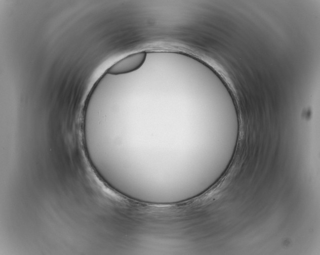 X0000092251486200709140955