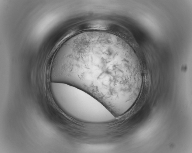 X0000092251487200709140955
