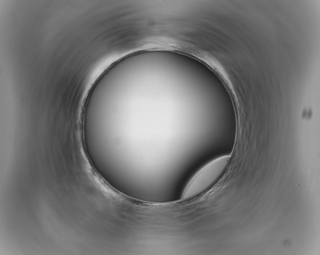 X0000092251488200709140955