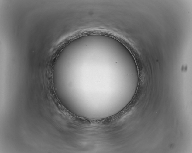 X0000092251494200709140954