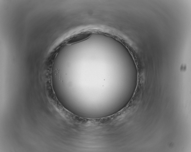 X0000092251496200709140954