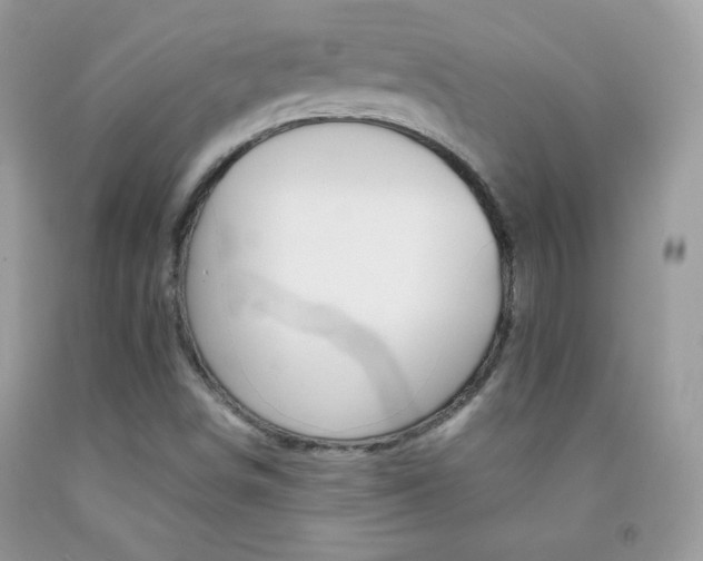 X0000092251498200709140954