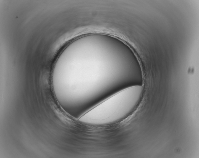 X0000092251499200709140954