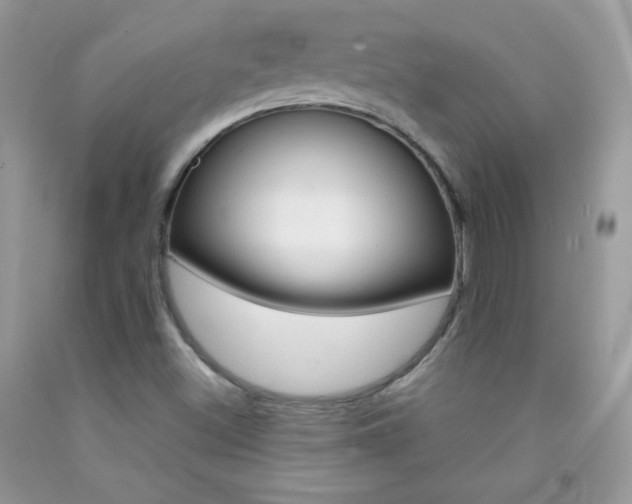 X0000092251500200709140954