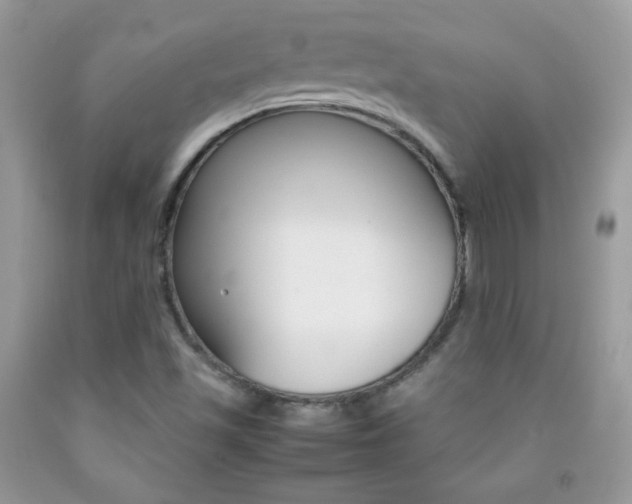 X0000092251501200709140954