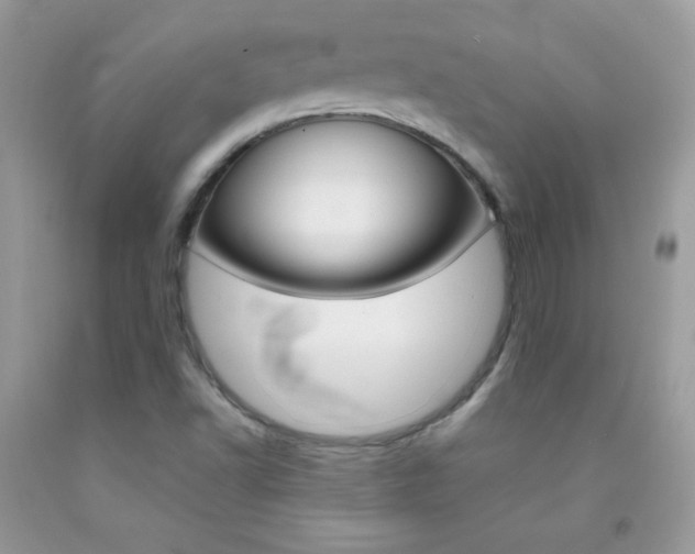 X0000092251502200709140954